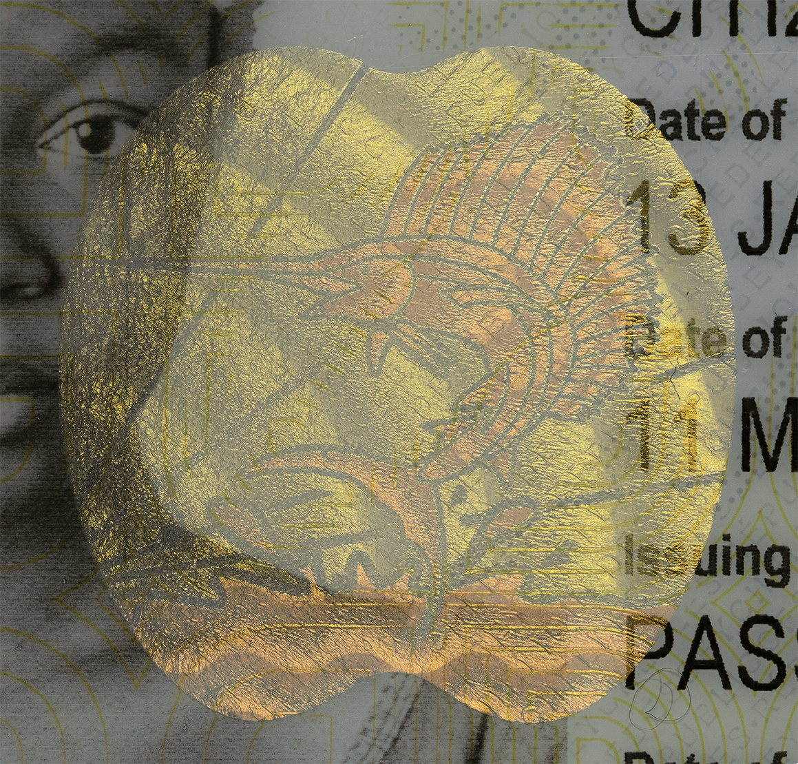 gifs of the kinegram demonstrate all the possible variants of color and image change.